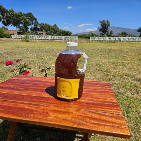 Kombucha 3L